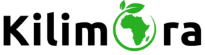 About Us - More Than Just Web Design. We Engineer Digital Growth. 7 Asset 1